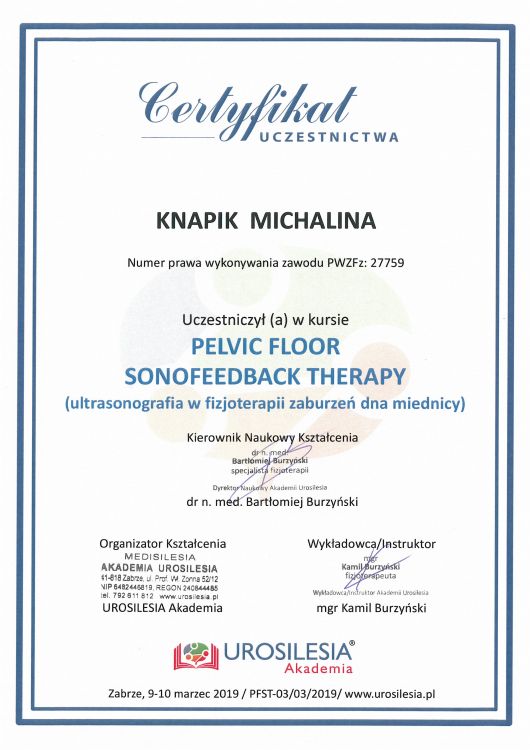 Pelvic Floor Sonofeedback Therapy®(ultrasonografia w fizjoterapii zaburzeń dna miednicy)